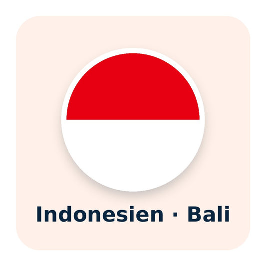 Indonesien- und Bali-eSIM von esimReise – Nyepi, der Tag der Stille